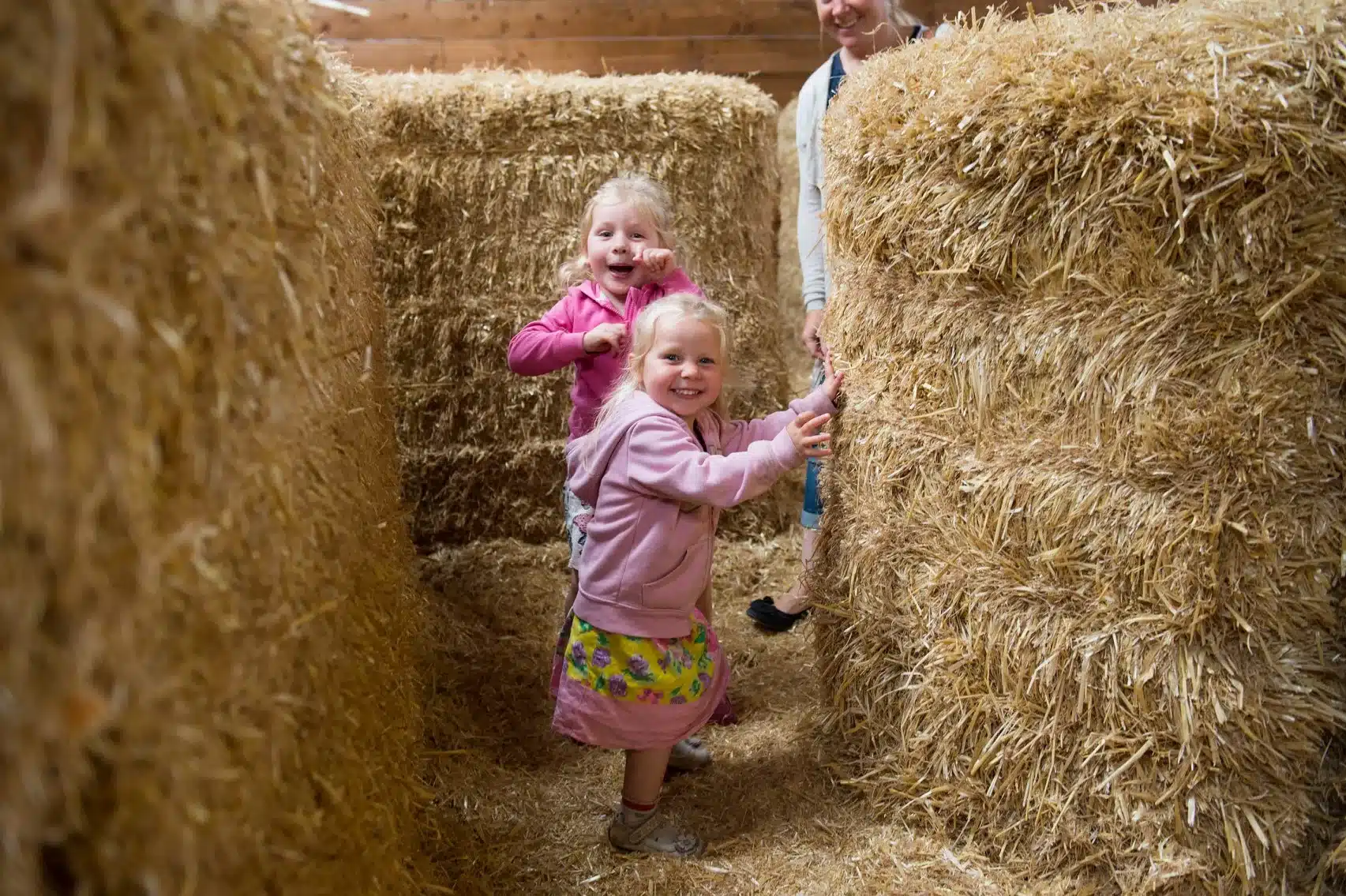 Georgia and Eva playing in the straw bales at Hesketh Farm