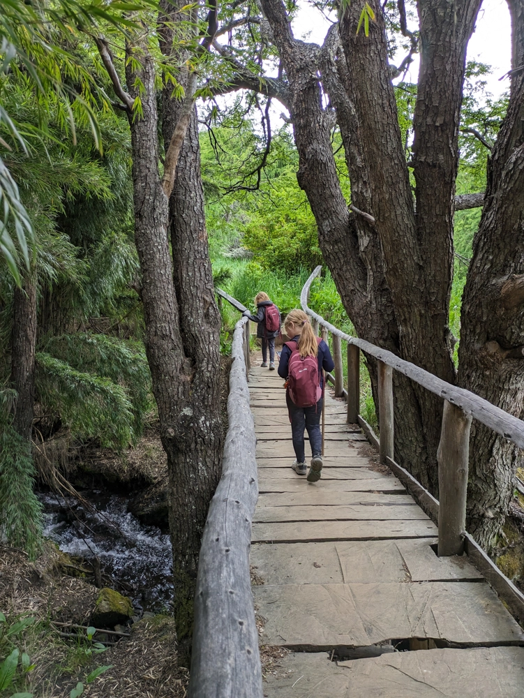 Georgia and Eva on a wooden bridge crossing a stream at  Reserva Nacional Coyhaique