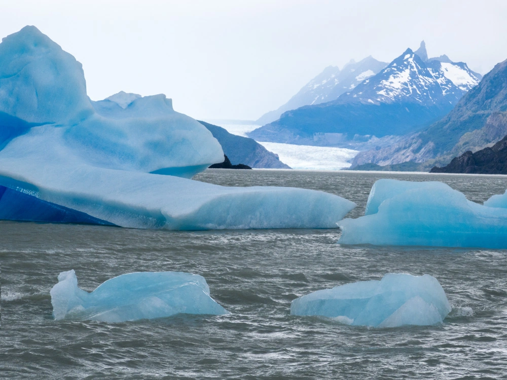 Icebergs floating in Lago Grey with Glacier Grey in the background