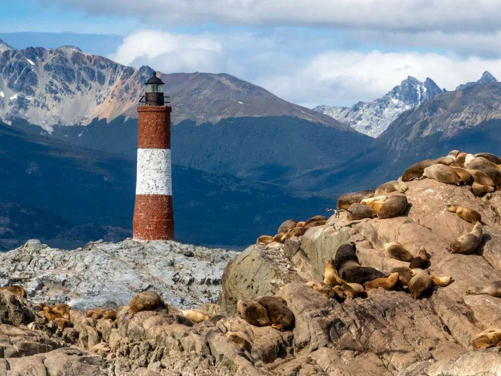 'The lighthouse at the end of the world' next to a group of sealions relaxing on the rocks with mountains in the background