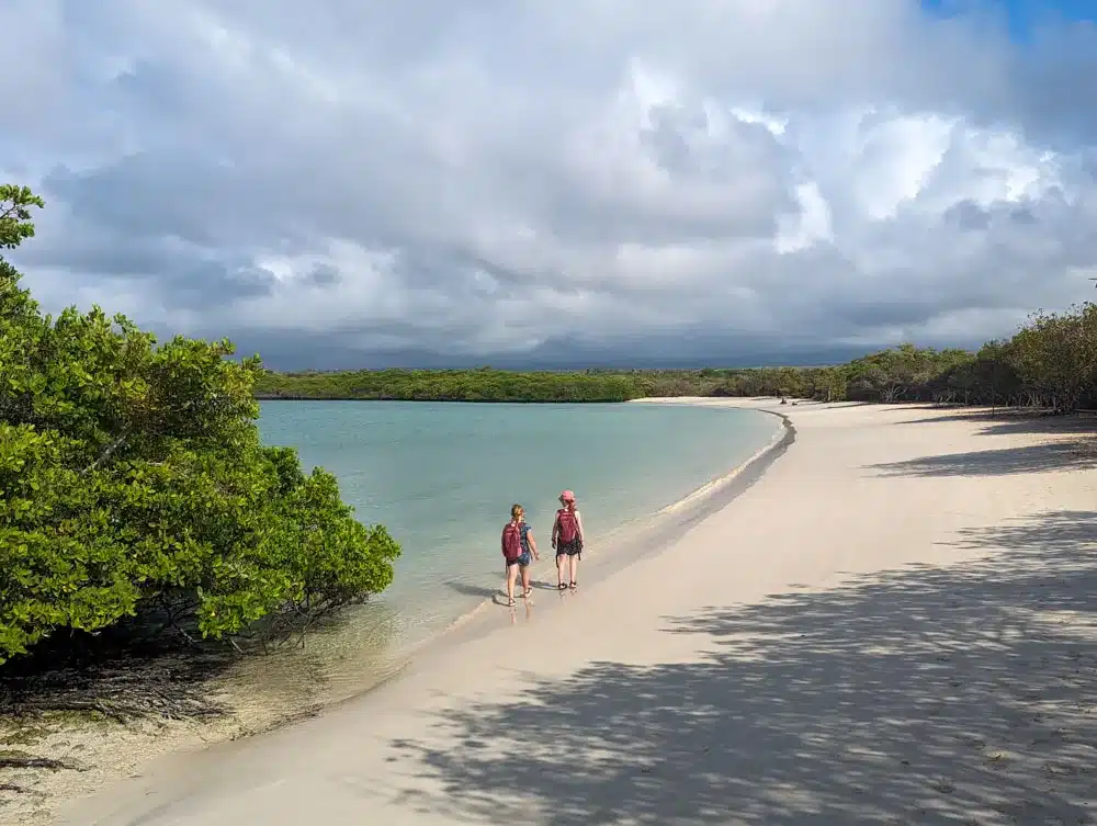 Georgia and Eva walking along the edge of the blue shores in Tortuga Bay with white sand to their right and mangroves in the distance.