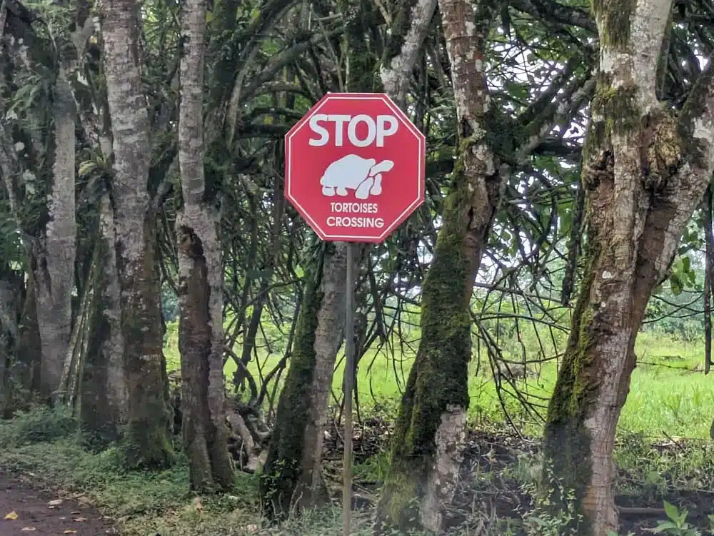A red, hexaganol 'STOP, Tortoises crossing' sign with a picture of a giant tortoise in the centre.